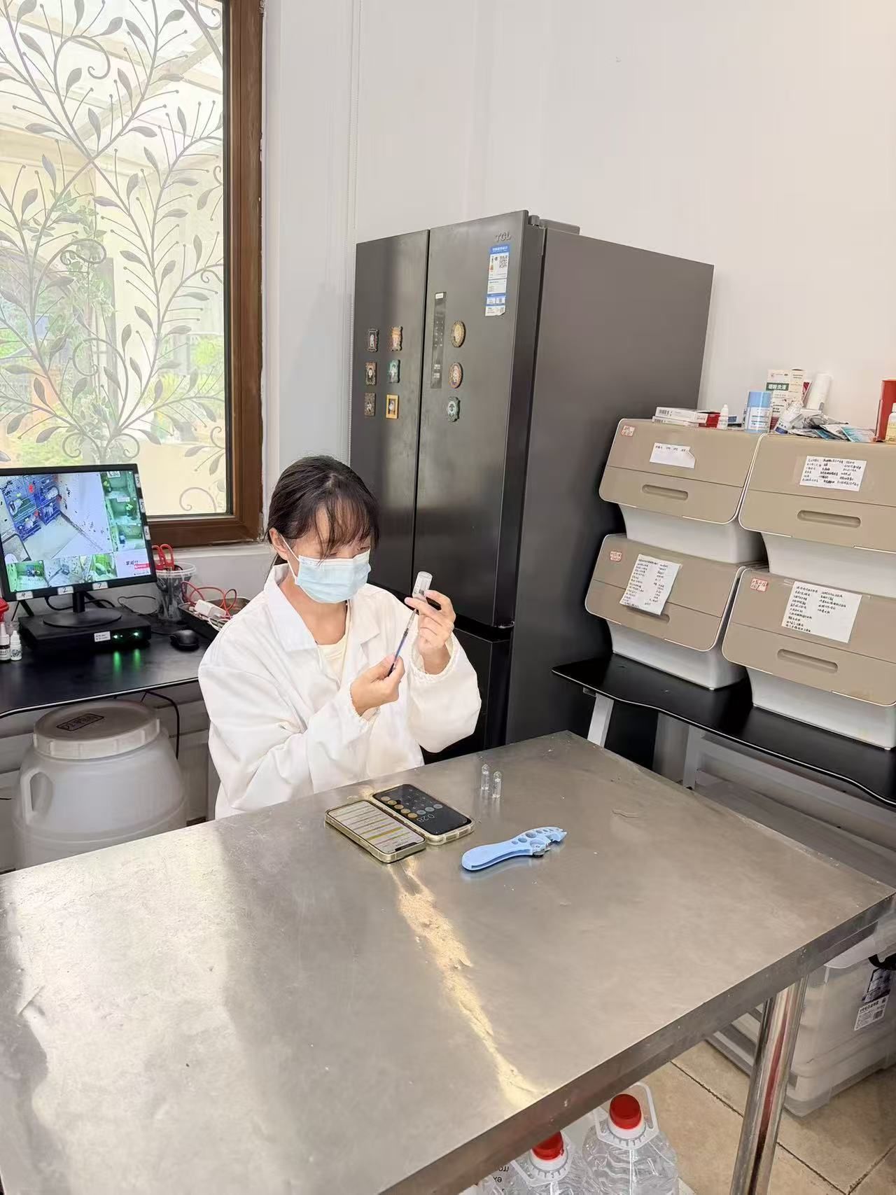 标准化幼犬防疫与健康监测流程