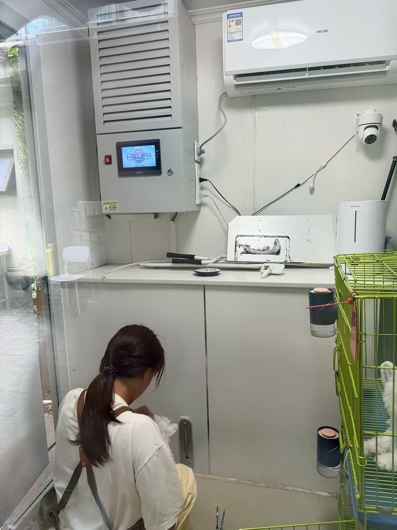犬舍配备恒温控制与通风设备