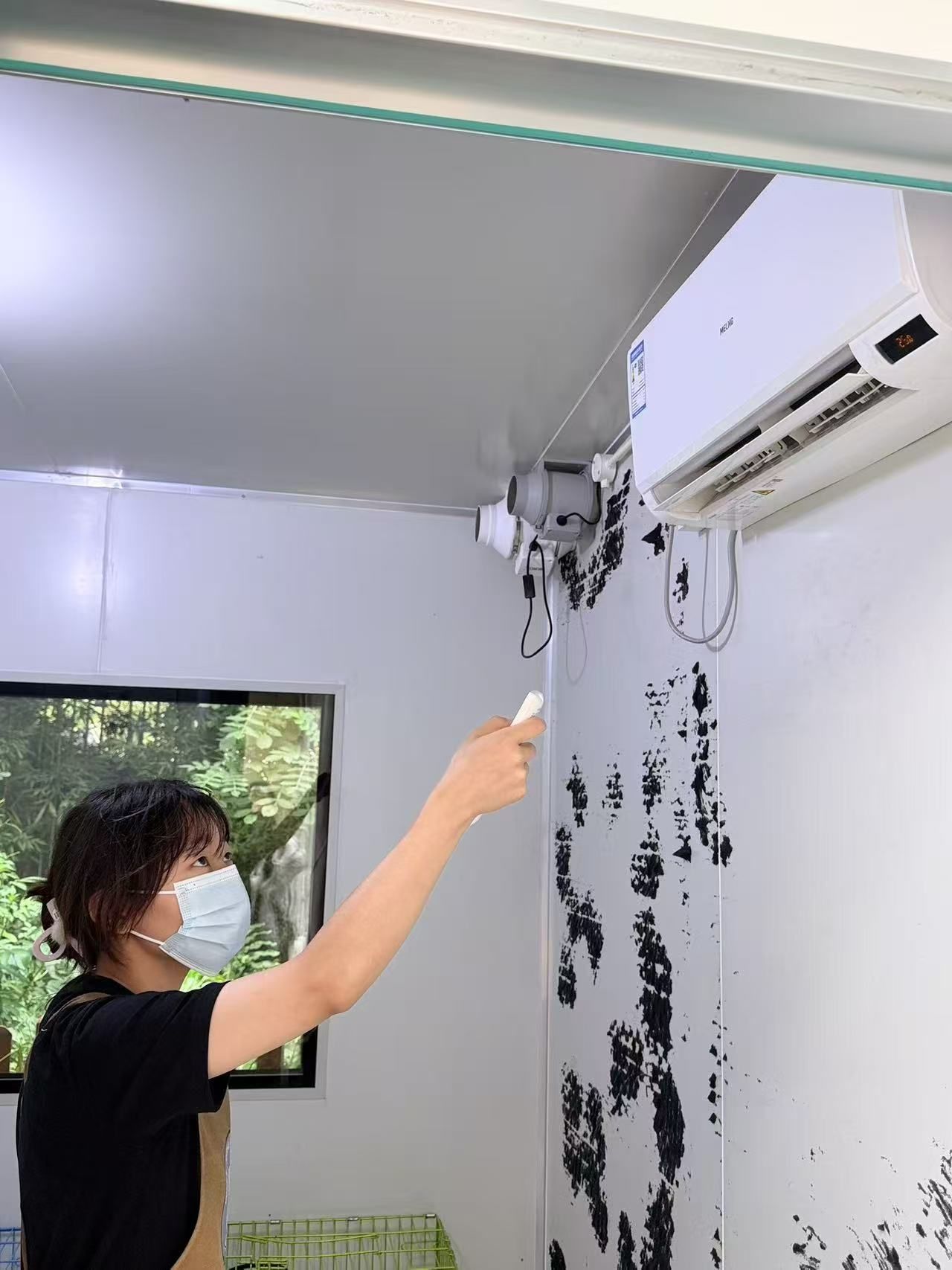 犬舍配备恒温控制与通风设备